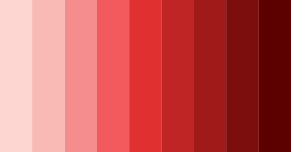 Download chinese red elegance color palette PNG image (landscape)