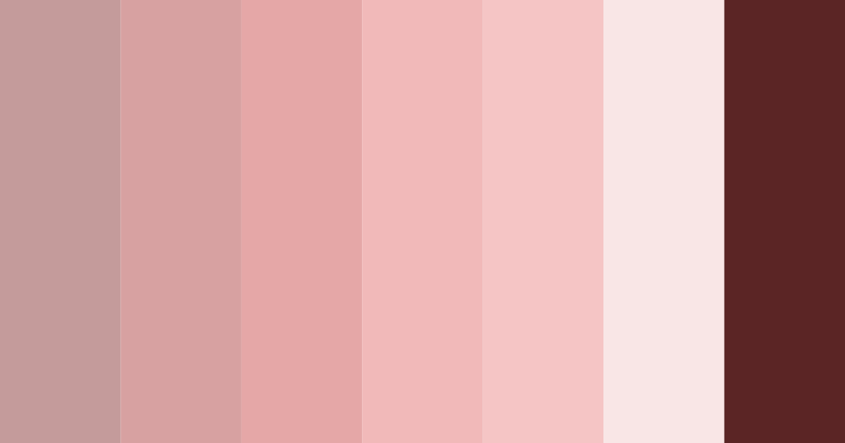 Download rosewood embrace color palette PNG image (landscape)