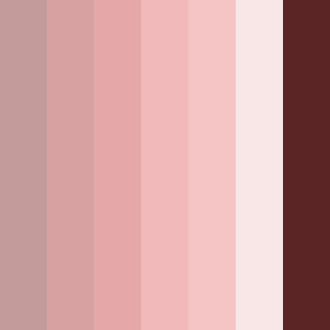 Download rosewood embrace color palette PNG image (square)