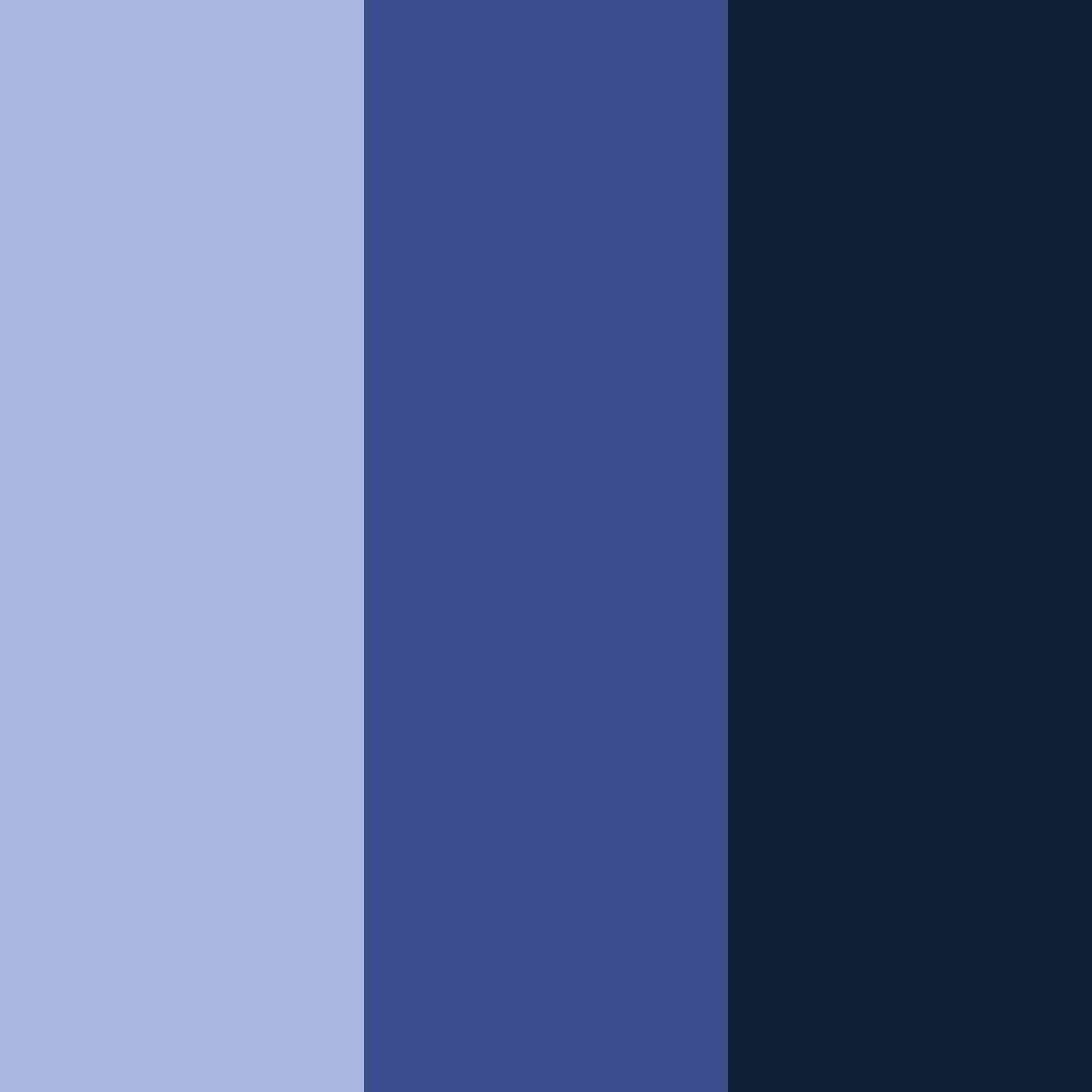 Download midnight serenity color palette PNG image (square)