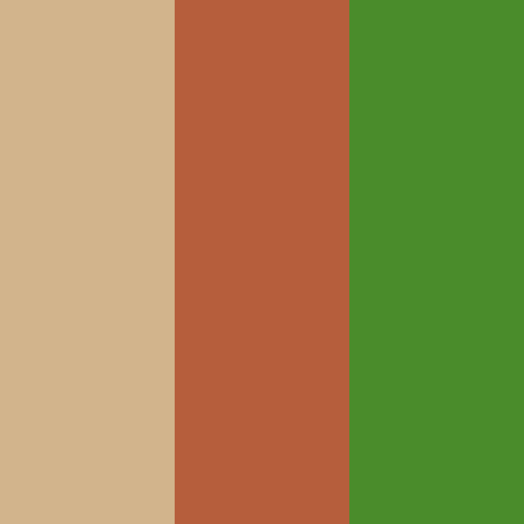 Download tea harmony color palette PNG image (square)