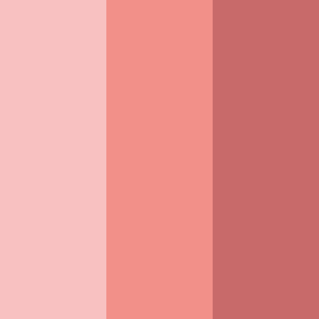 Download coral blossom color palette PNG image (square)