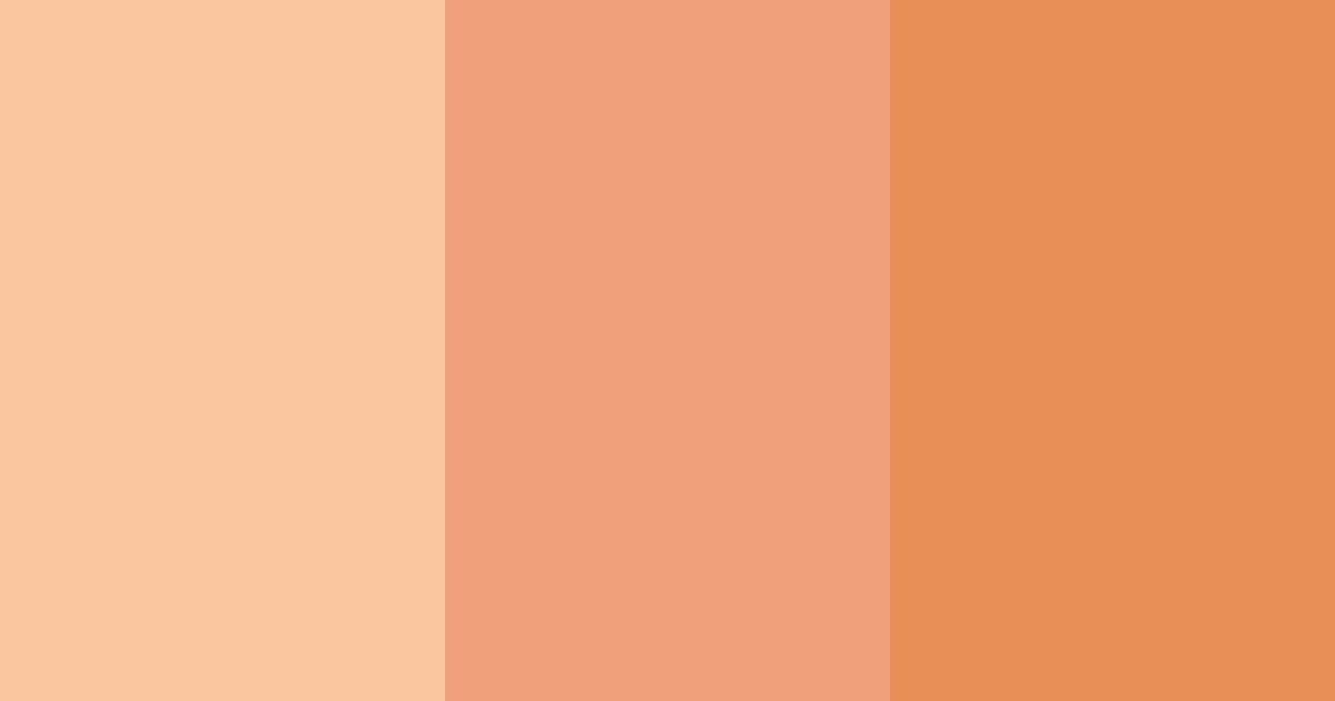 Download warm embrace color palette PNG image (landscape)