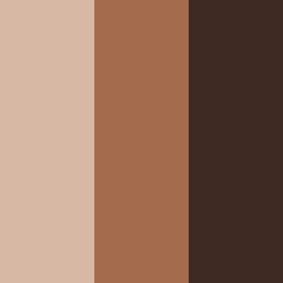 Download rustic elegance color palette PNG image (square)