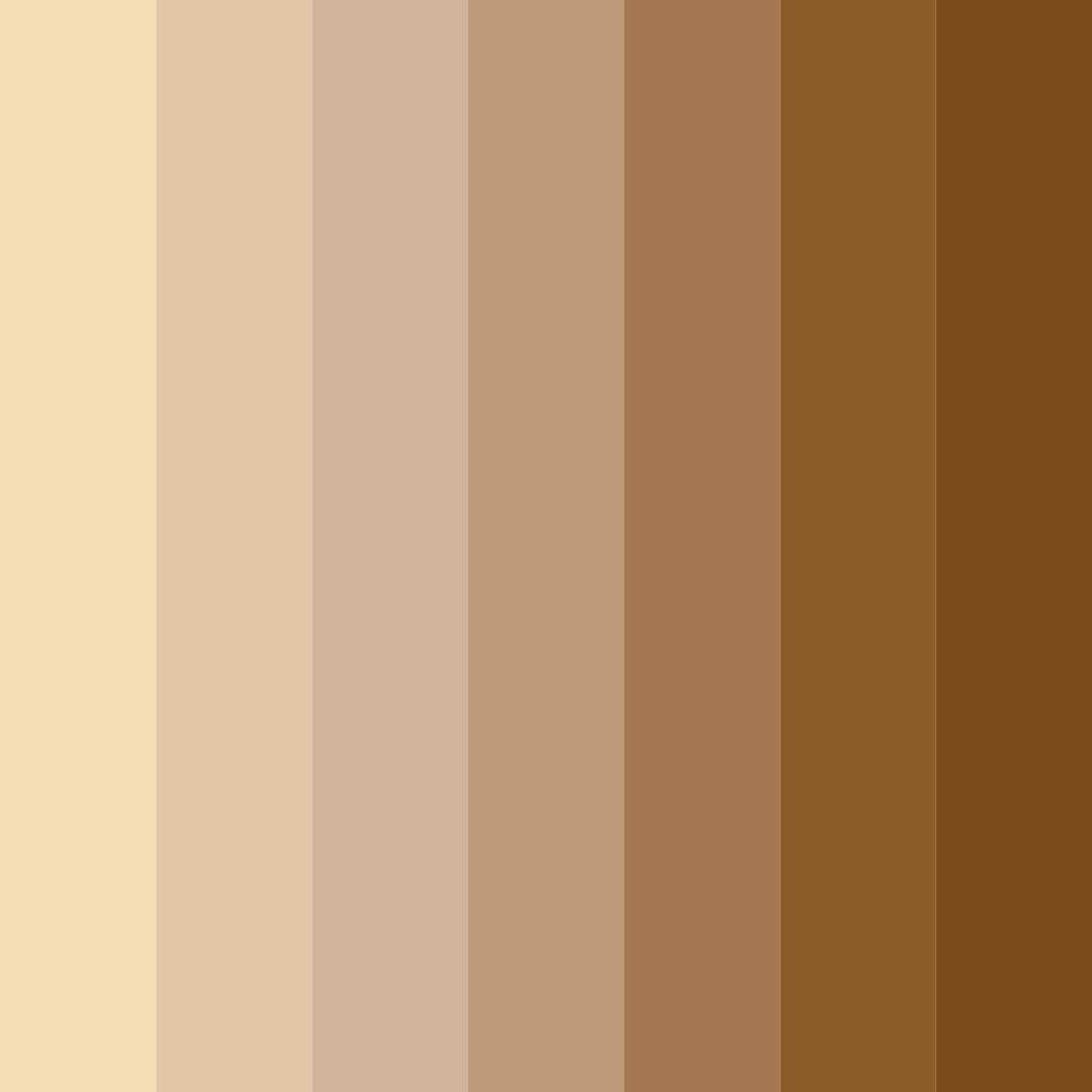 Download burlywood shades color palette PNG image (square)