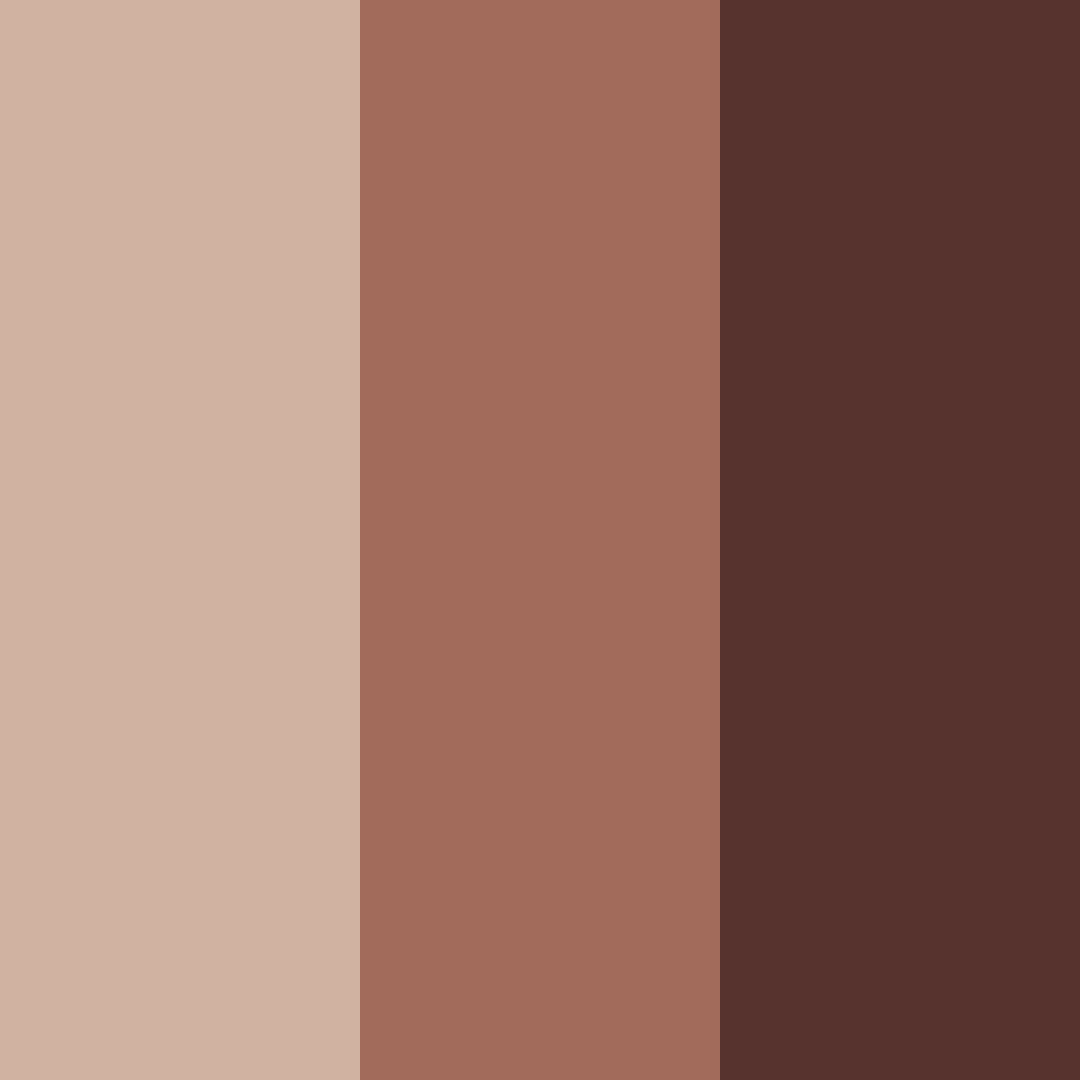 Download rustic rosewood color palette PNG image (square)