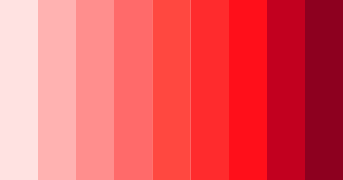 Download coral symphony color palette PNG image (landscape)