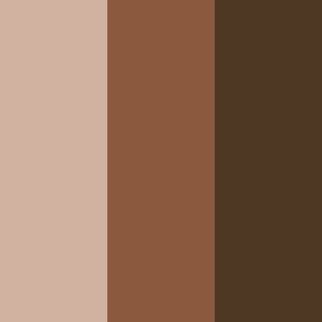 Download moody brown color palette PNG image (square)