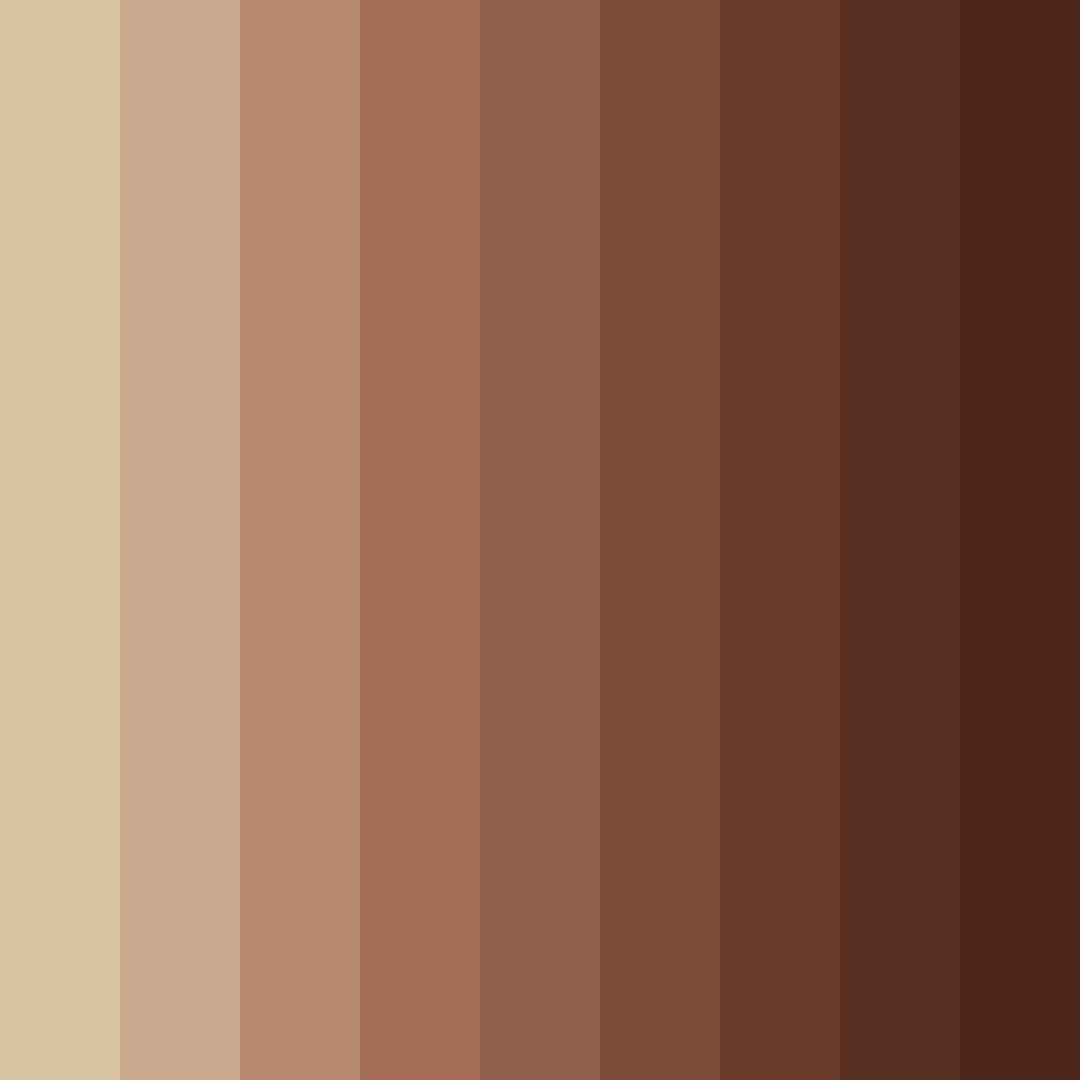 Download earthy ember color palette PNG image (square)