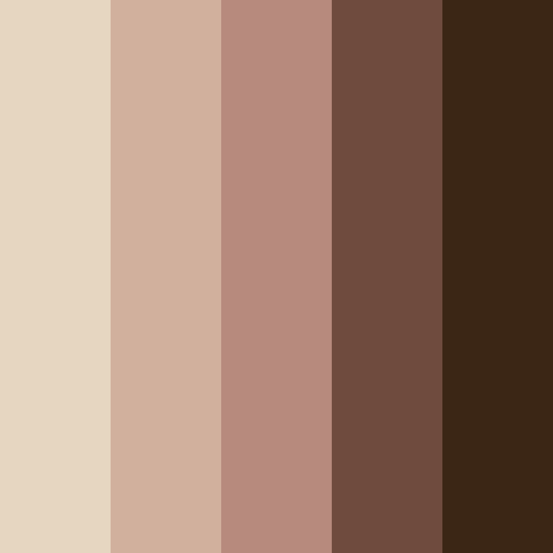Download brown mousse color palette PNG image (square)