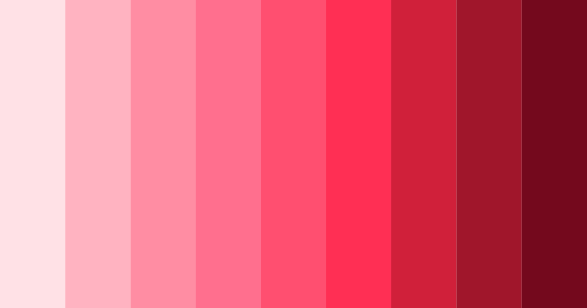 Download petals of passion color palette PNG image (landscape)