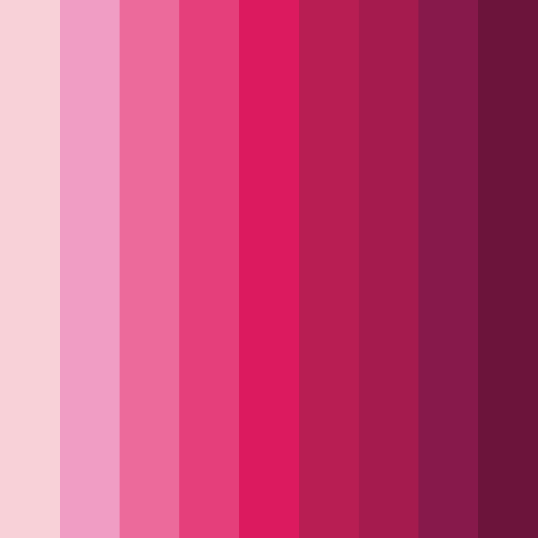 Download pink rose color palette PNG image (square)