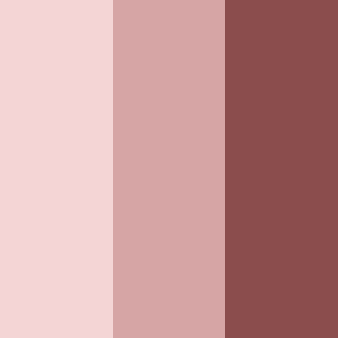 Download cocoa rosewood color palette PNG image (square)