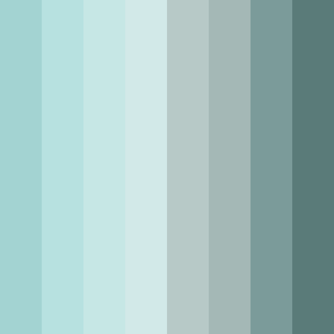 Download serenity shoreline color palette PNG image (square)