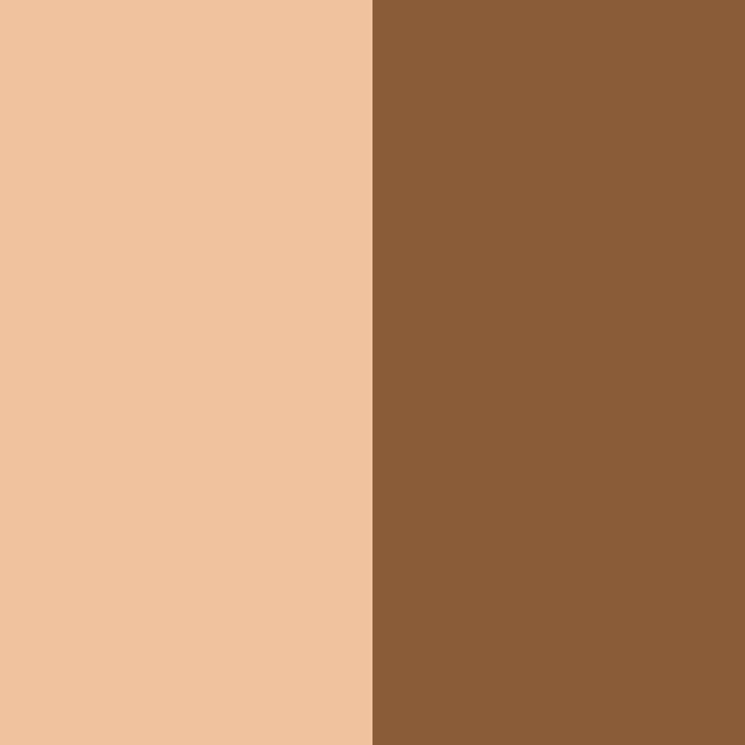 Download caramel shades color palette PNG image (square)
