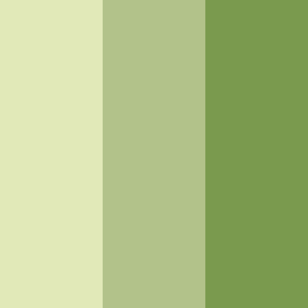 Download olive grove serenade color palette PNG image (square)
