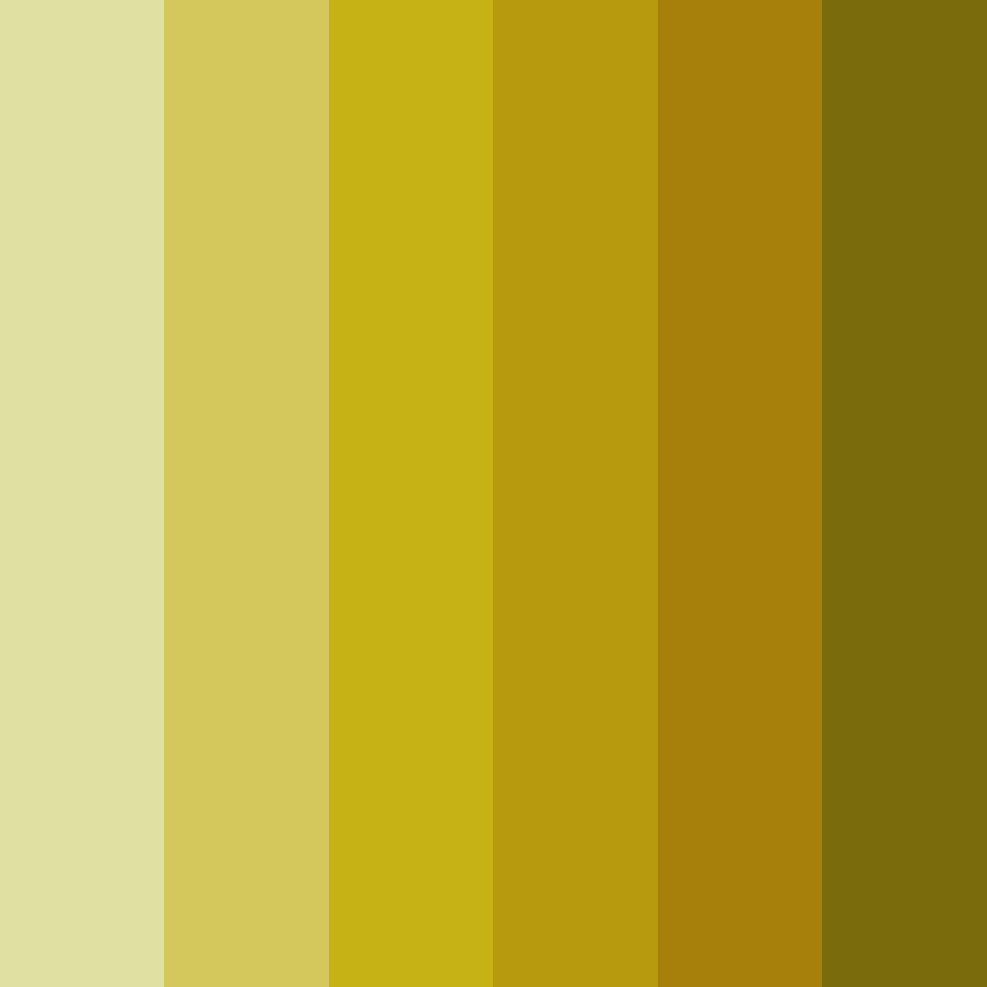 Download sunlit canopy color palette PNG image (square)