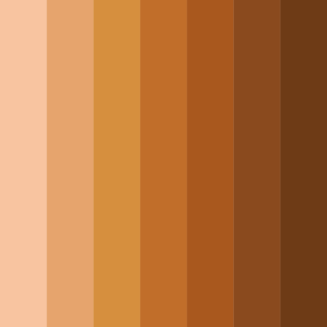 Download dusty orange shades color palette PNG image (square)