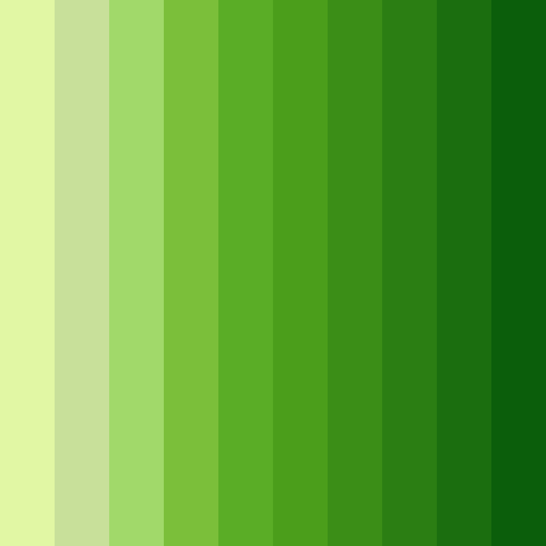 Download budgie bliss color palette PNG image (square)