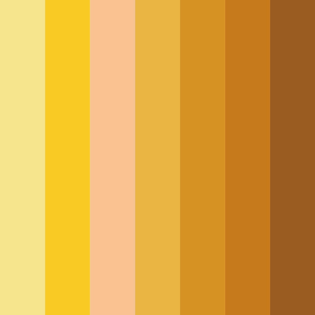 Download sunlit serenade color palette PNG image (square)