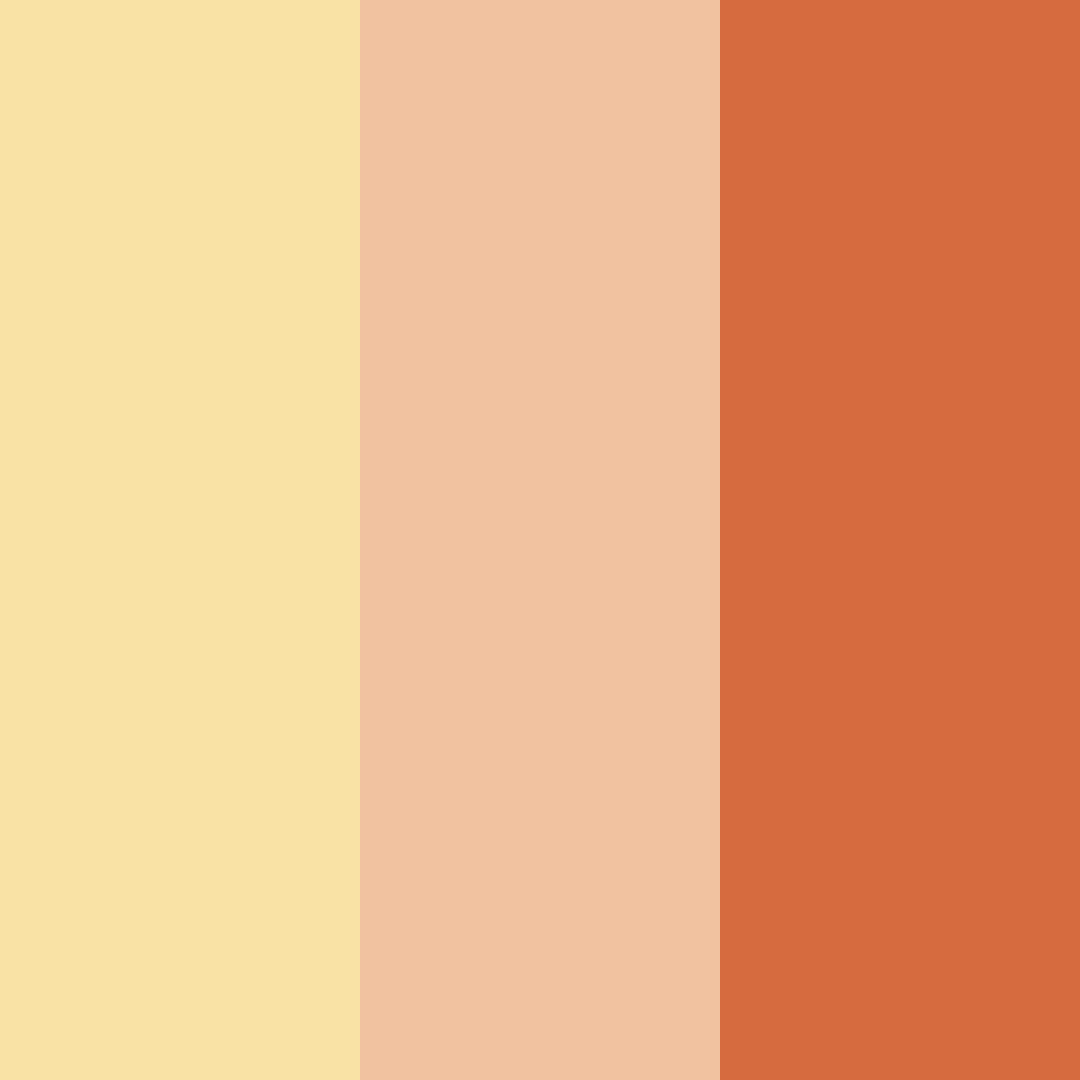 Download summer's embrace color palette PNG image (square)