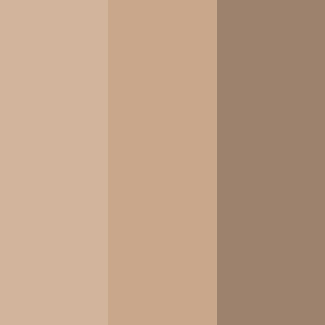 Download warm earth tones color palette PNG image (square)