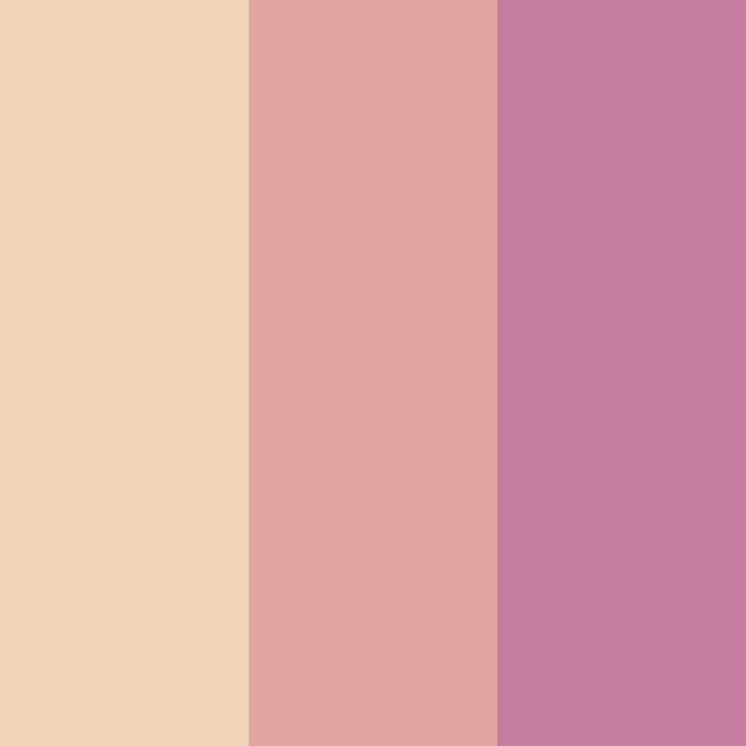 Download gentle embrace color palette PNG image (square)