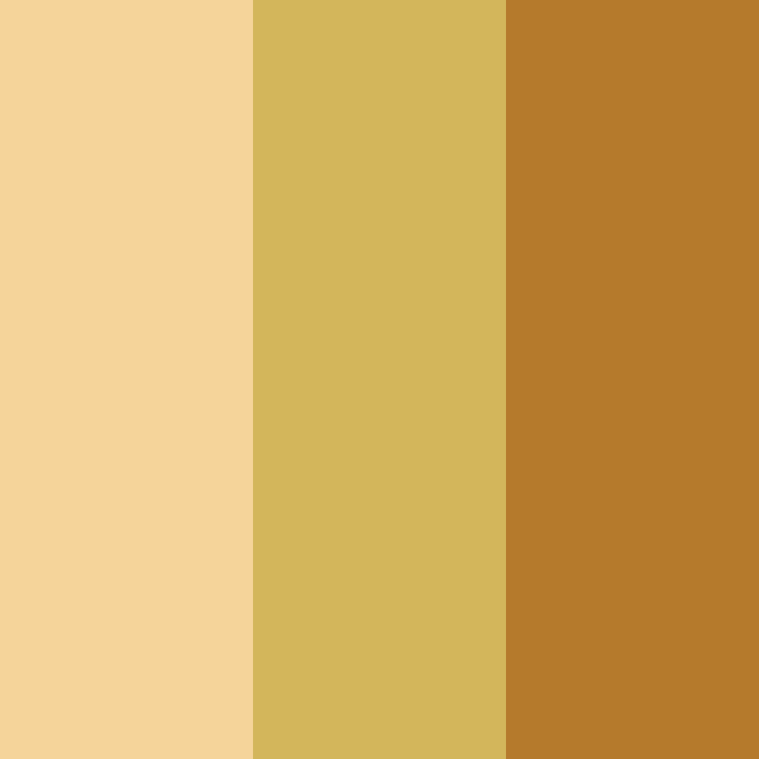 Download nutty blossom color palette PNG image (square)