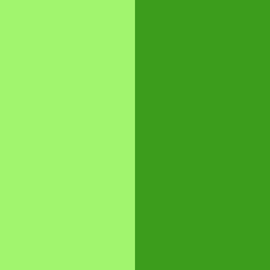 Download emerald whispers color palette PNG image (square)