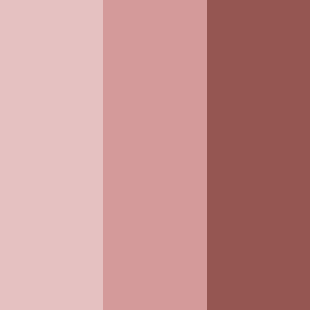 Download rosewood shades color palette PNG image (square)