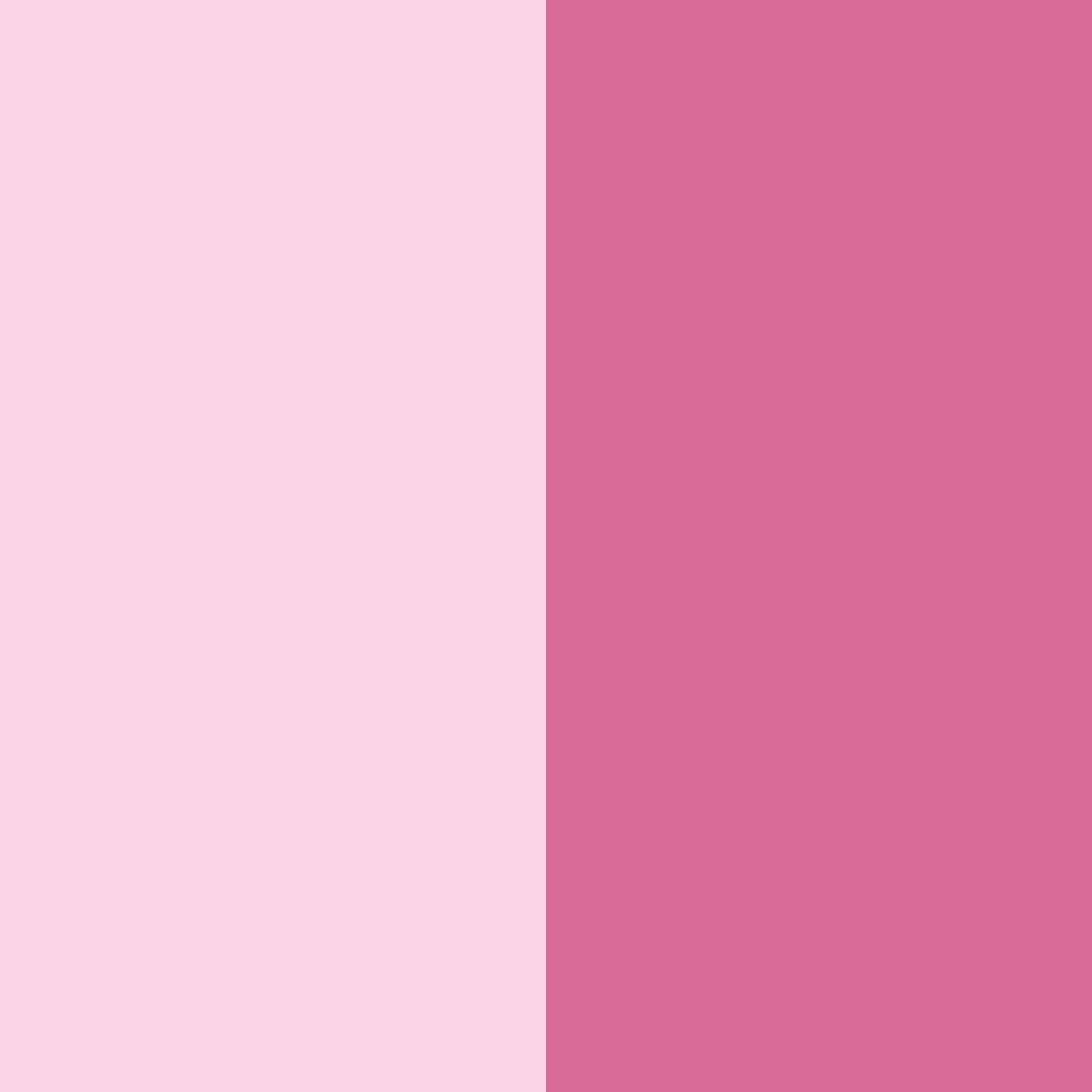 Download pink blossoms color palette PNG image (square)