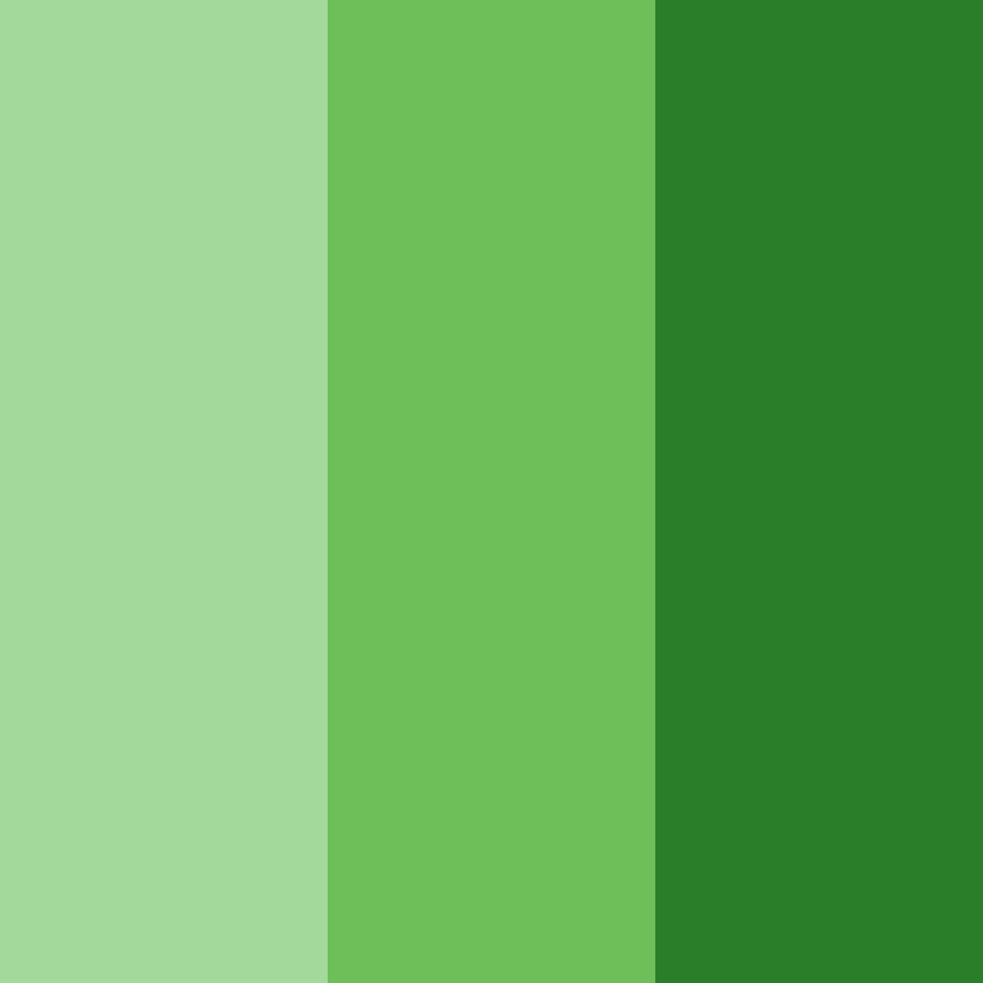 Download emerald canopy color palette PNG image (square)