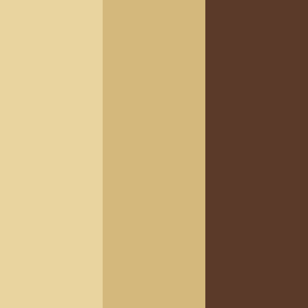 Download muscovado dreams color palette PNG image (square)