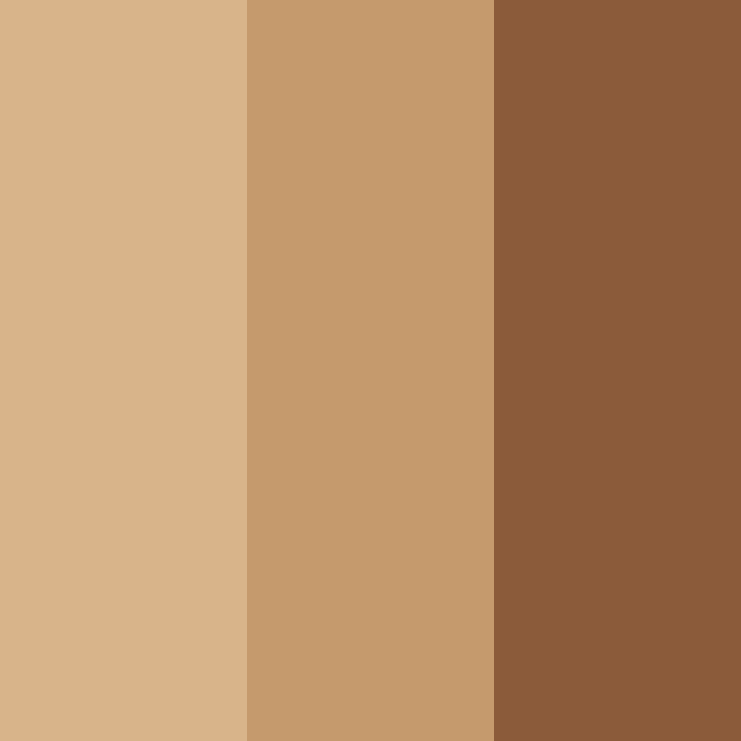 Download warm brown color palette PNG image (square)