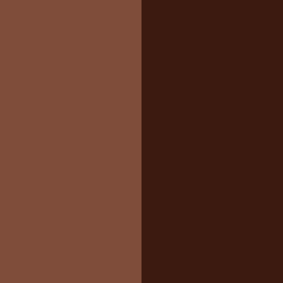 Download dark brown color palette PNG image (square)
