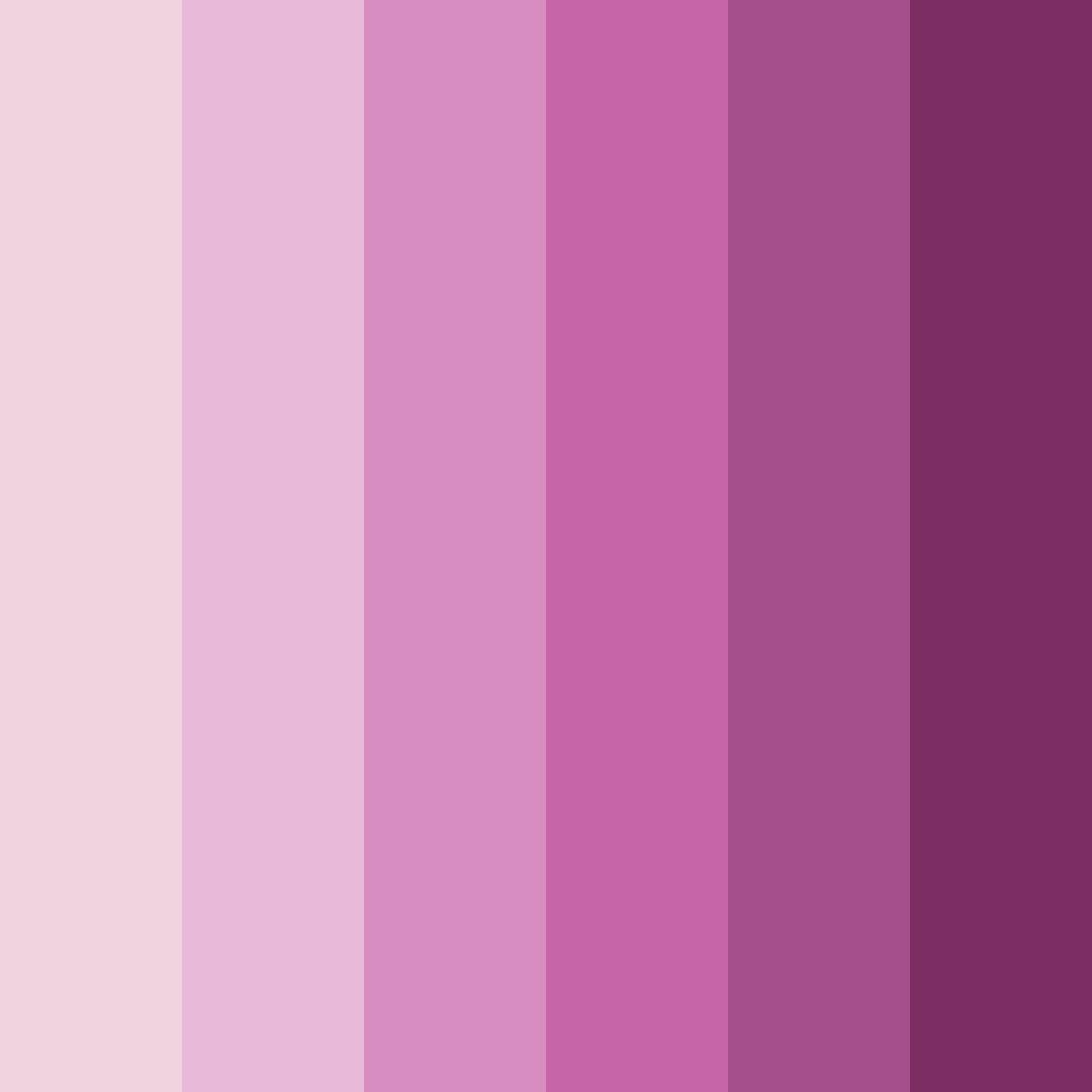 Download whimsical petals color palette PNG image (square)