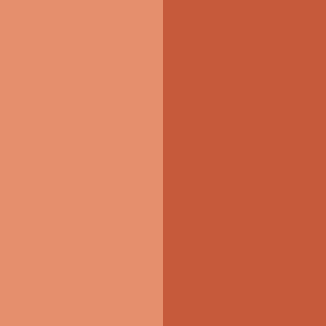 Download terracotta shades color palette PNG image (square)