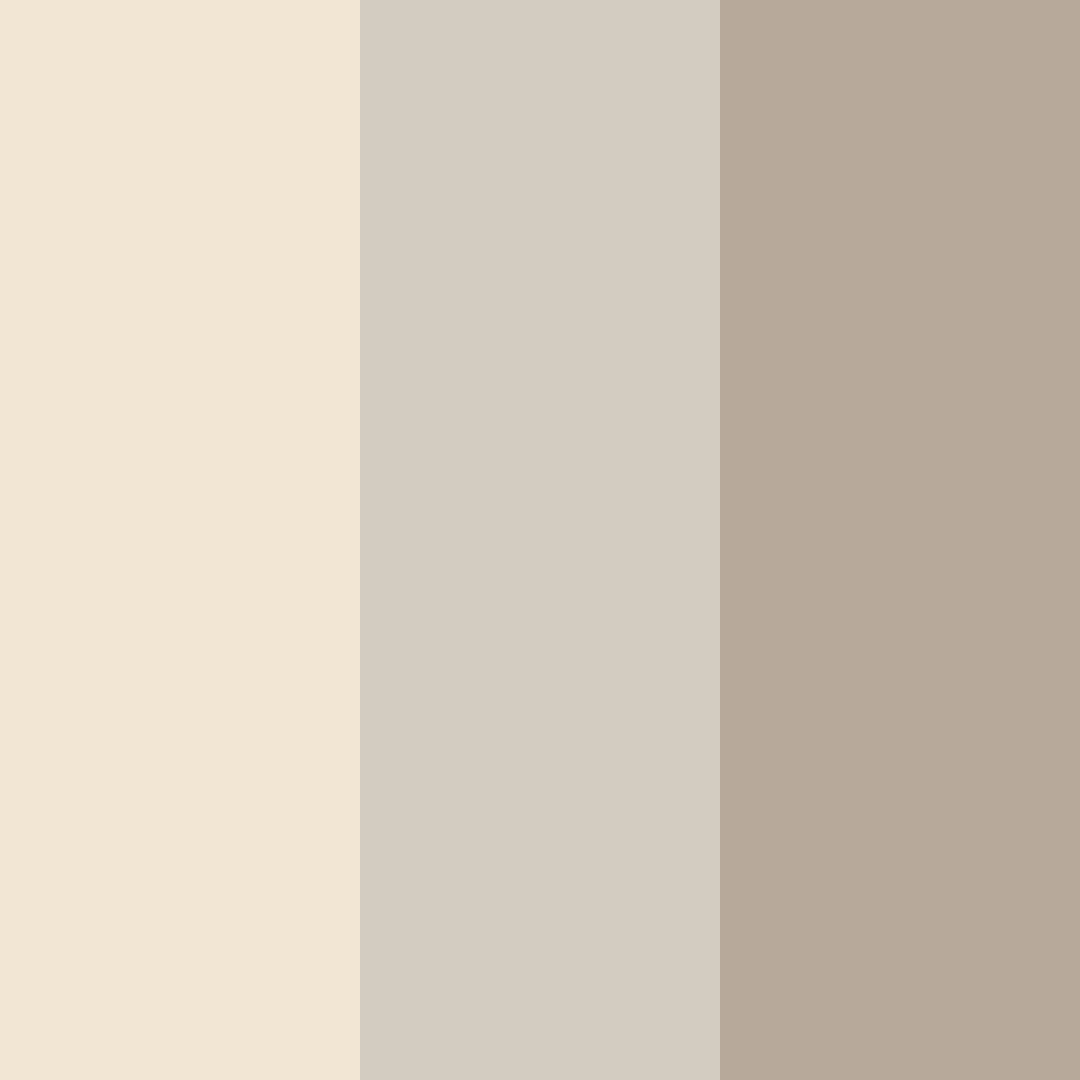 Download light beige color palette PNG image (square)