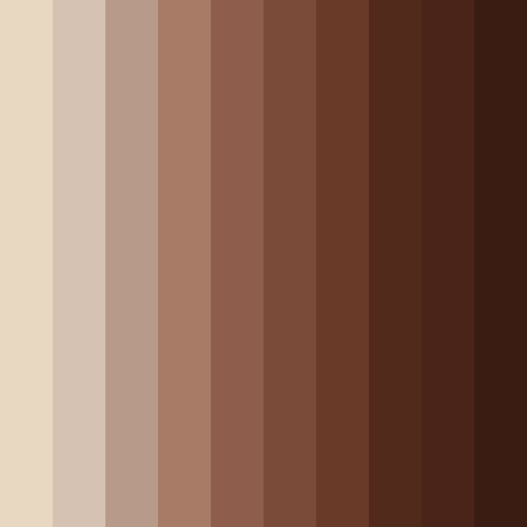 Download brewed harmony color palette PNG image (square)