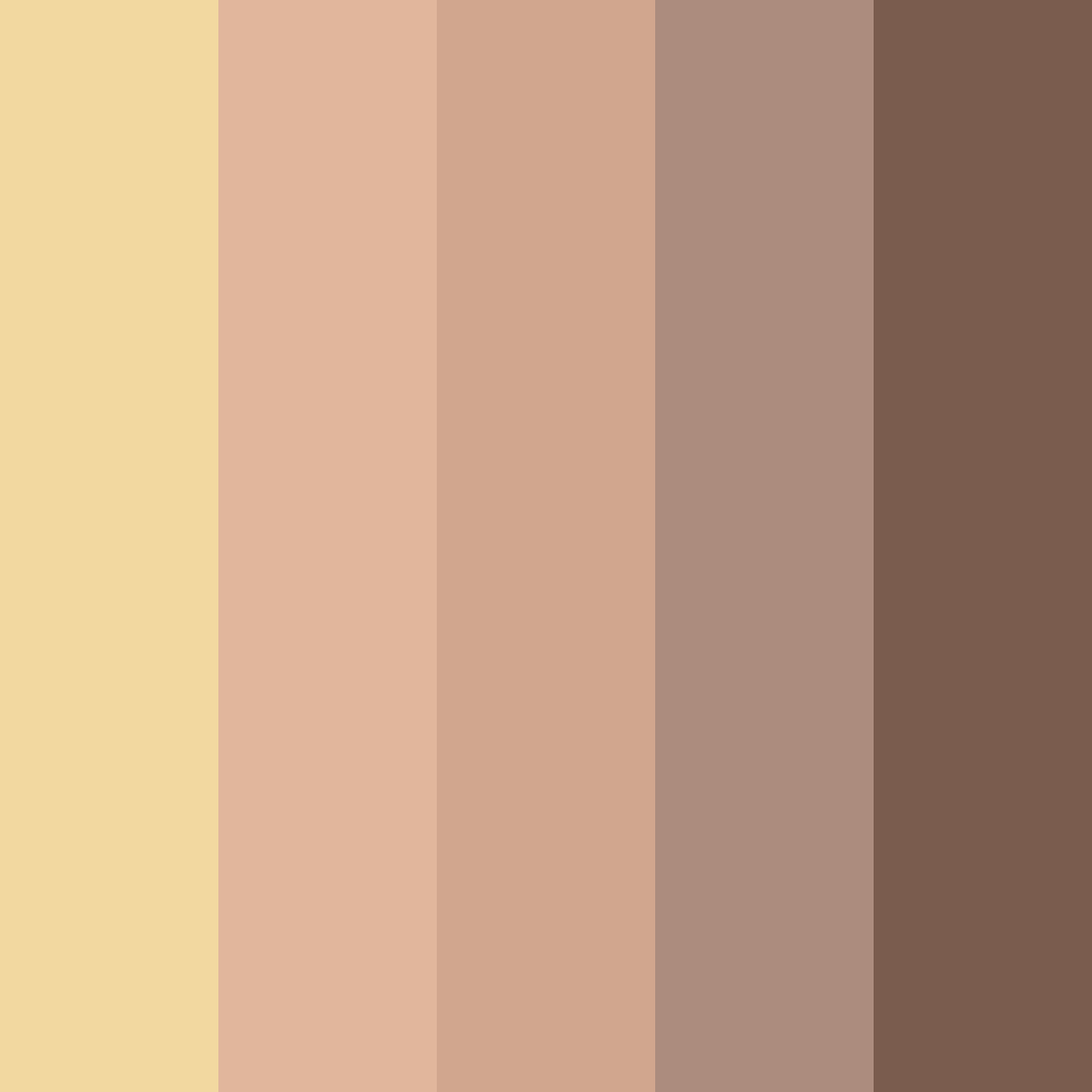 Download vintage warmth color palette PNG image (square)