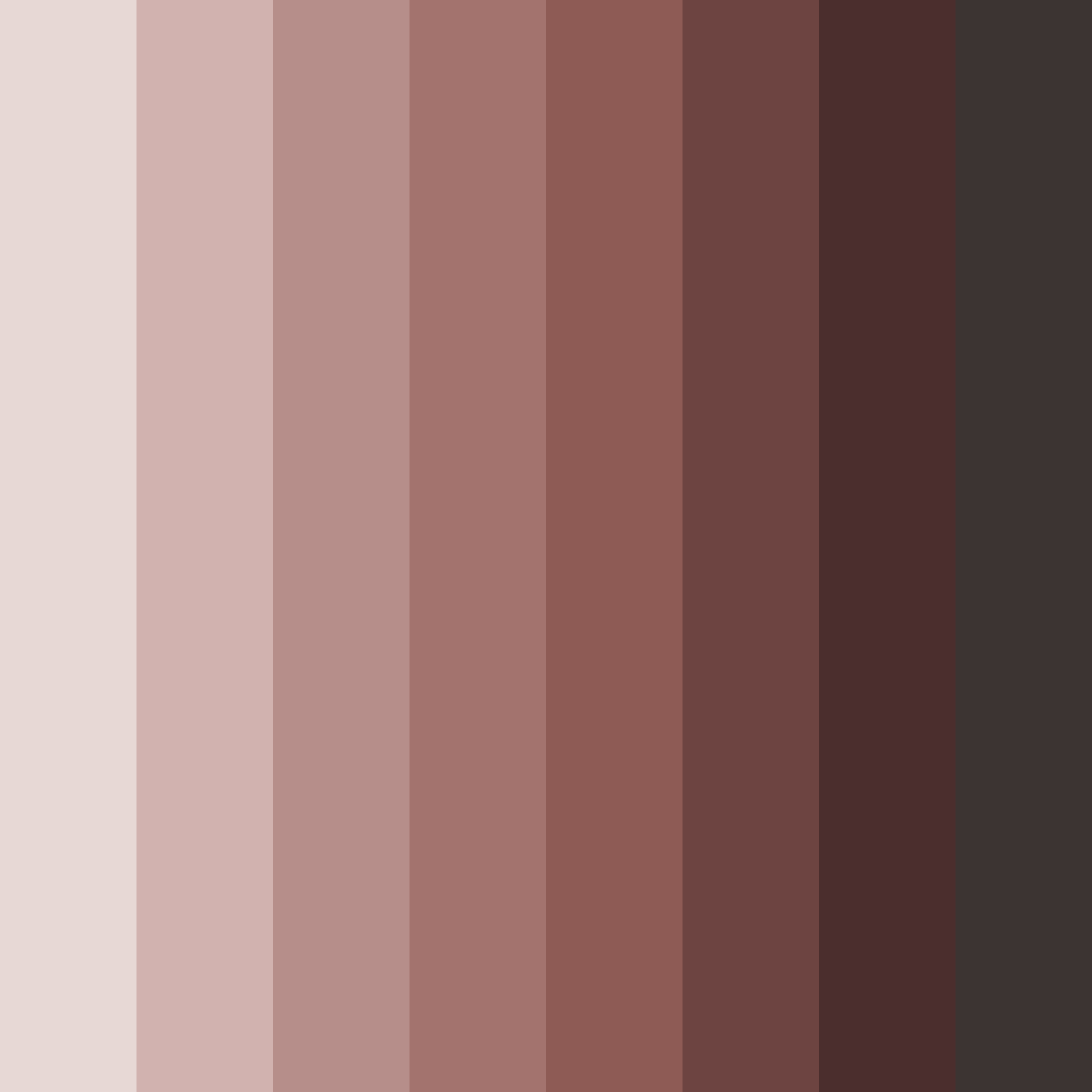 Download shades of brown color palette PNG image (square)