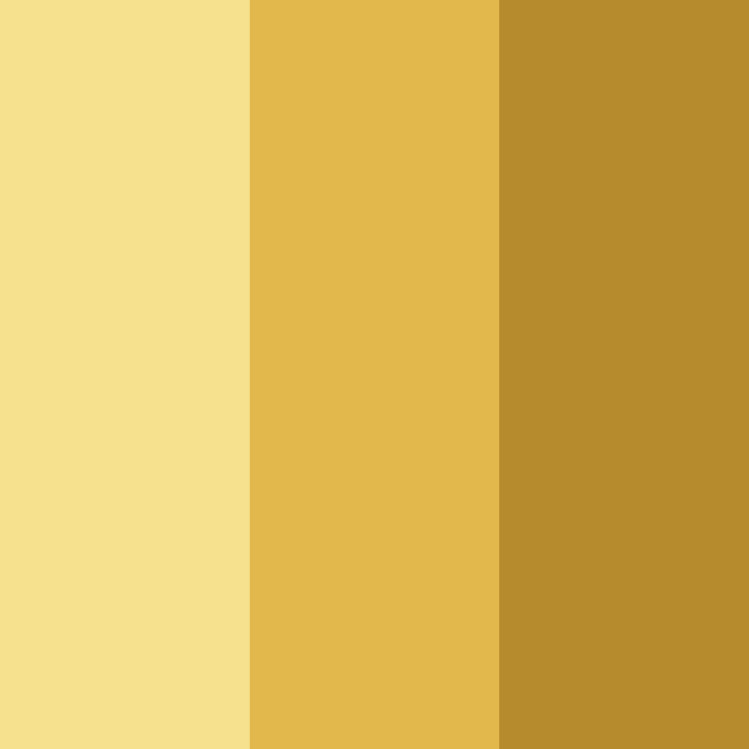 Download golden honey color palette PNG image (square)