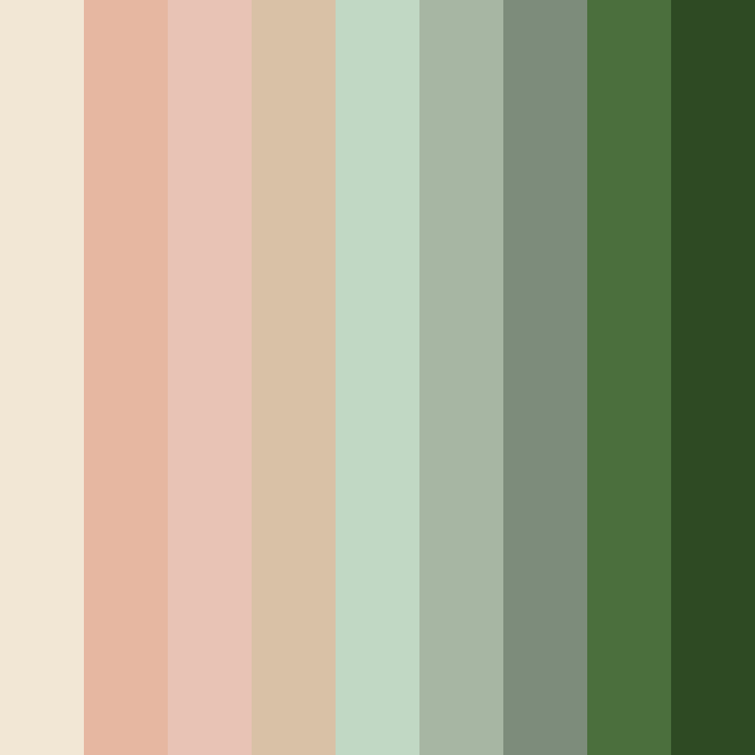 Download sage and peach harmony color palette PNG image (square)