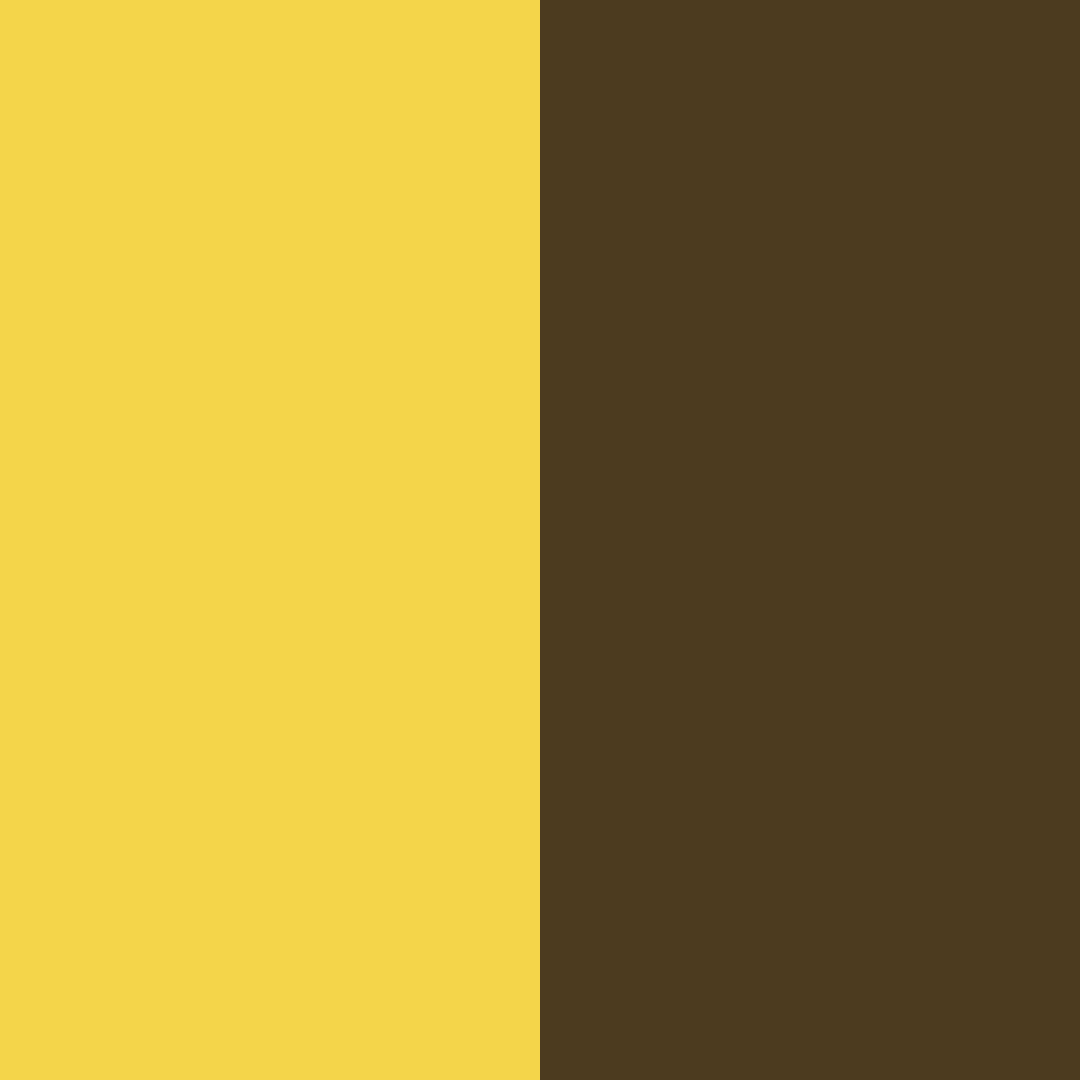 Download golden earth color palette PNG image (square)