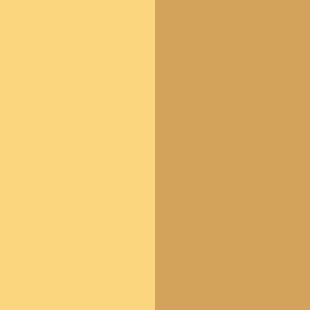 Download sunlit amber color palette PNG image (square)