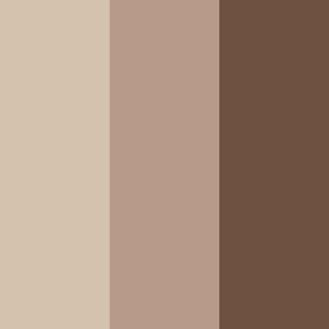 Download light mocha color palette PNG image (square)