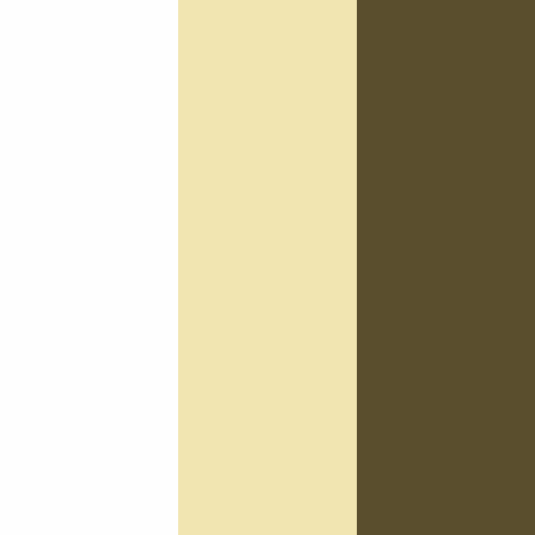 Download elegant contrast color palette PNG image (square)