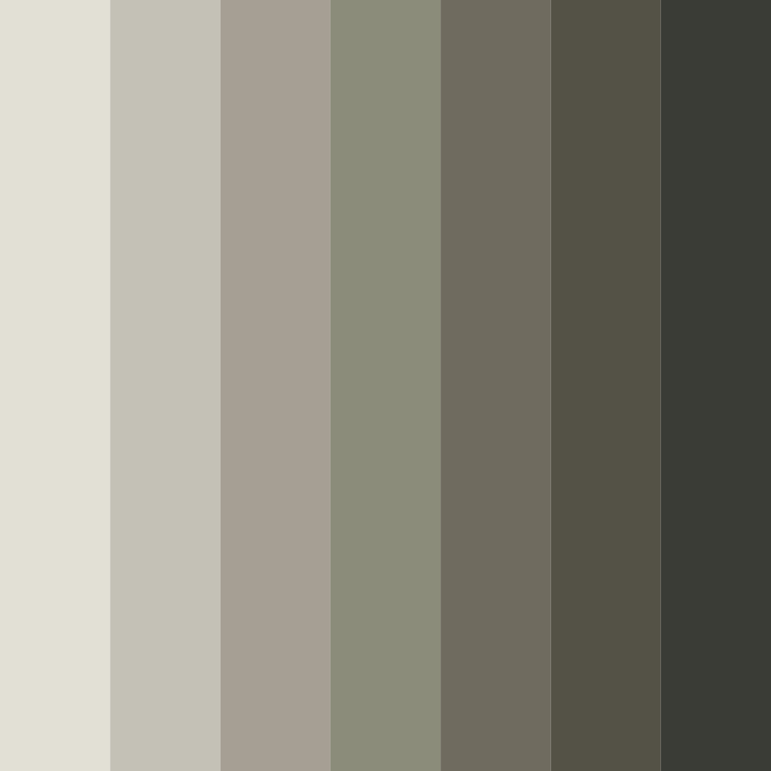Download neutral shades color palette PNG image (square)