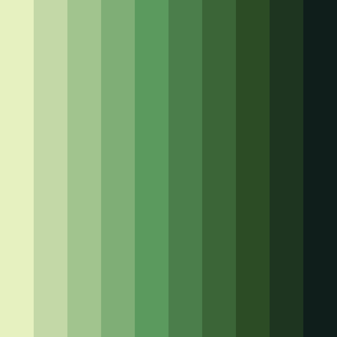 Download olive grove harmony color palette PNG image (square)