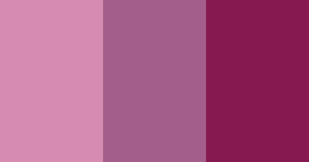 Download dark pink color palette PNG image (landscape)